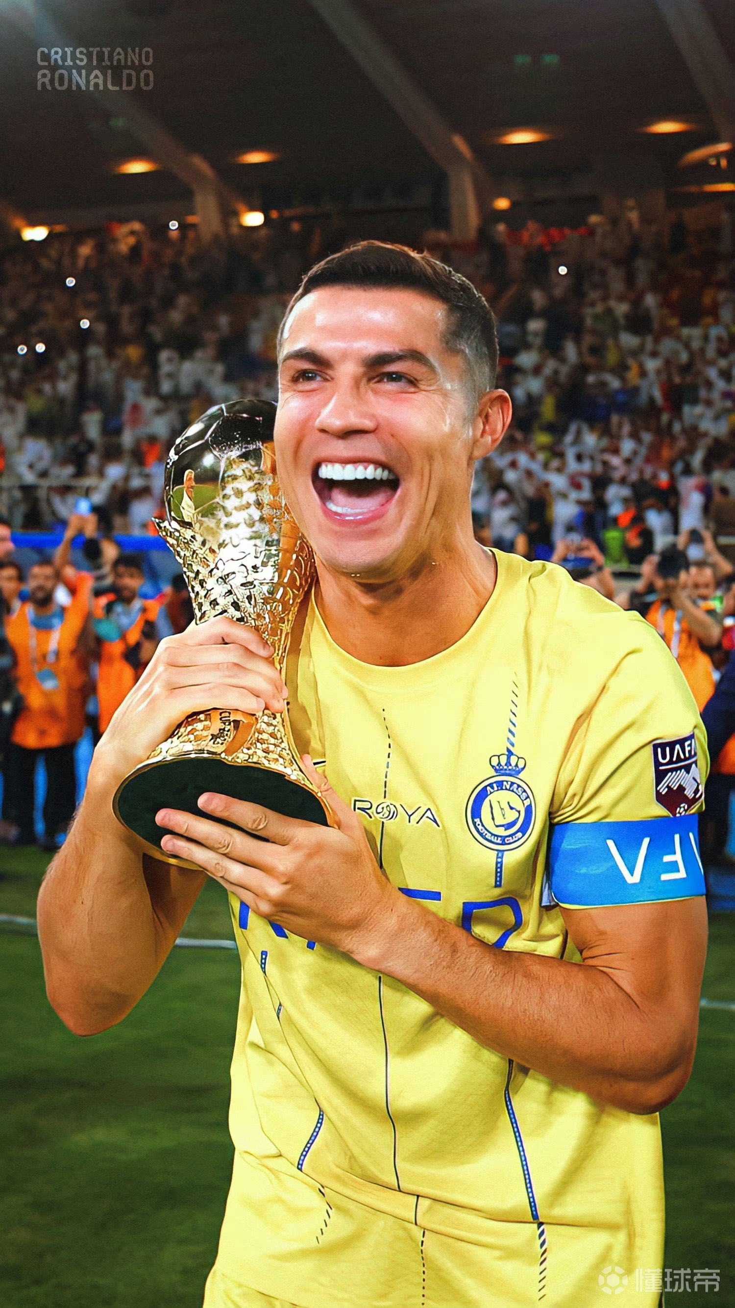 阶式组合 阶式组合